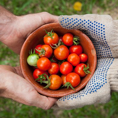 November 11 - God Loves a Cheerful Giver